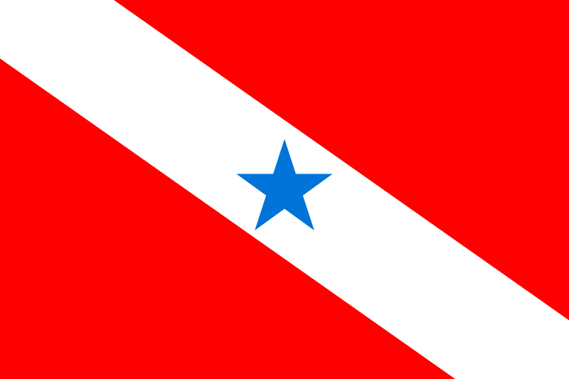 Bandeira_do_Para